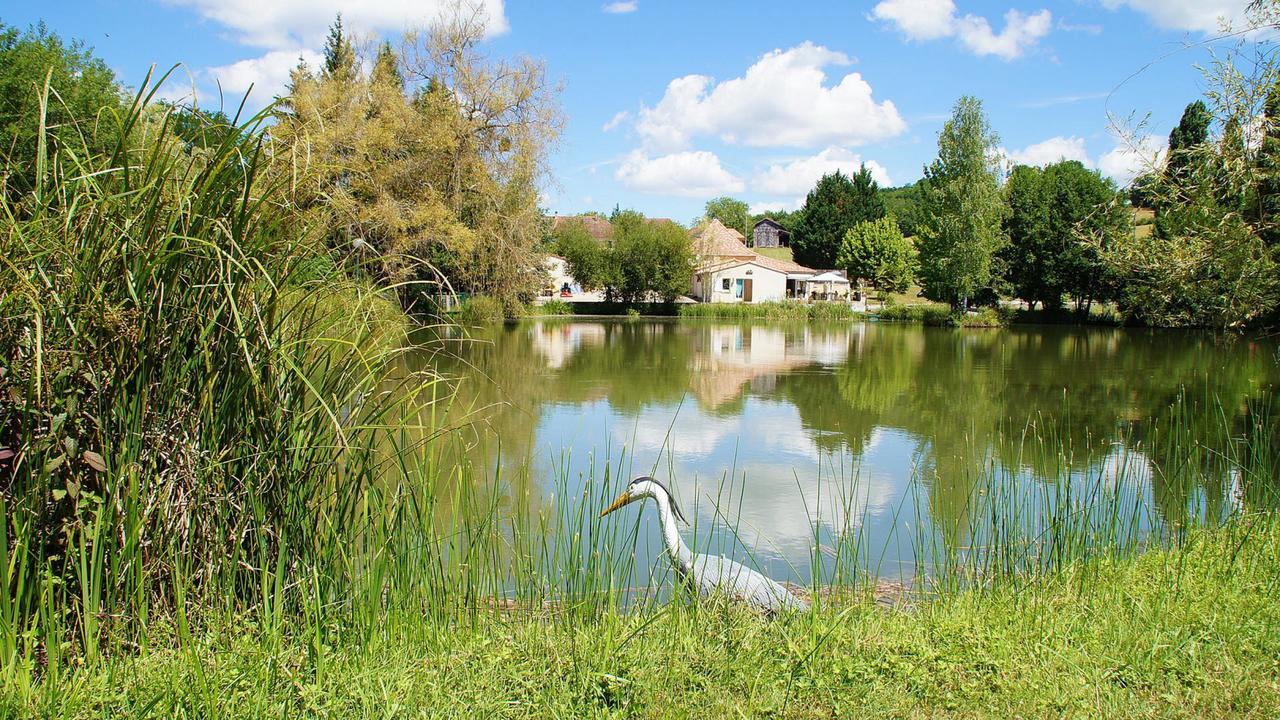 Le Domaine De L'Etang De Sandanet Issac Exteriör bild