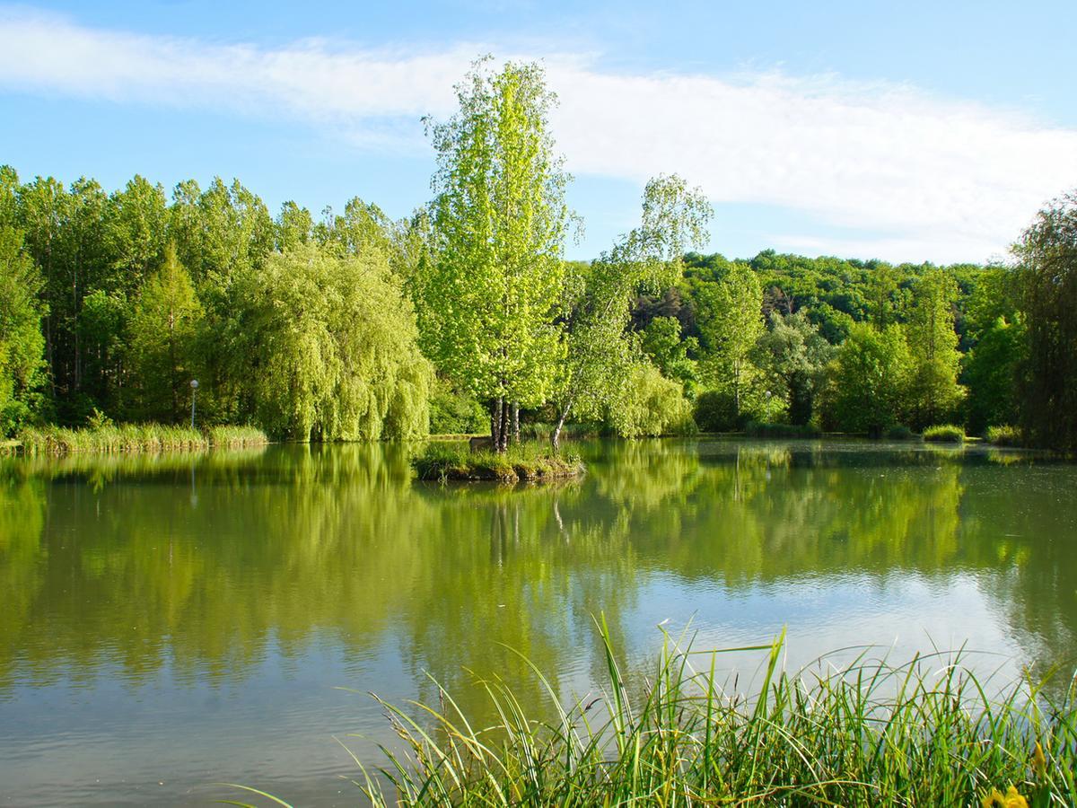 Le Domaine De L'Etang De Sandanet Issac Exteriör bild